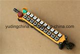 Factory Supply F21-20d Crane Remote Control Wireless, Ce FCC Approval