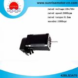 42bls3a70 Servo Motor/Electric Motor DC Servo Motor