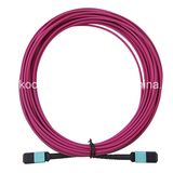 MTP/MPO Om4 12cores Fiber Optic Patch-Cord