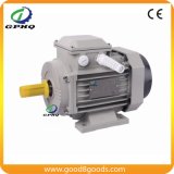 Gphq Ms 0.25kw 3 Phase AC Electrical Motor
