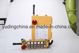 Industrial Wireless Radio Remote Control F24-12D