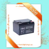 VRLA Battery Sr45-12 Inverter Battery 12V 45ah