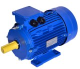 Approved Russian GOST Induction Motor