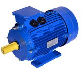 Approved Russian GOST Induction Motor