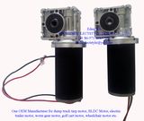 24V 60rpm 100W DC Gear Motor