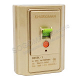Dk50L-1 32A 2p Silver Leakage Protection Switch for Water Heater