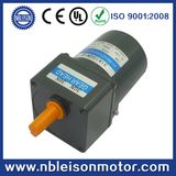 15W Low Rpm AC Induction Gear Motor