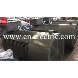 Y2vp355~450 Series Three Phase Asynchronous Motor