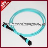 MPO Female to MPO Female 12 Cores Multi-mode Trunk Cable