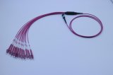 MPO/PC-LC/Upc 12 Fiber Optic Mini Round Om4-550 Magenta Patch Cords
