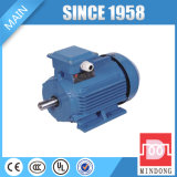 Ie2 Standard B3 Foot Mounted Induction Motor for Sale