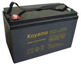 Heavy Duty Deep Cycle Battery 12V110ah