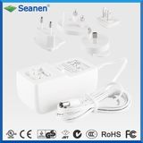 Full-Bridge Type 36W 9V 3A Multiple DC AC Switching Power Adapter