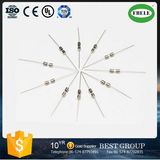 3.6X10 Size 250V/125V Glass Tube Fuses, Fuse