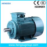 Y2 250kw-340HP Series Three Phase Induction Motors (YE2355L3-8)