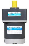 12V/24V 90watt Electric DC Gear Motor