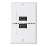 Dual HDMI Connector Wall Plate