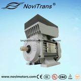 230V/60Hz AC Servo Permanent-Magnet Motor 550W