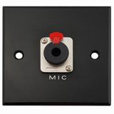 Aluminum AV Wall Socket, Face Plate (9.2070)