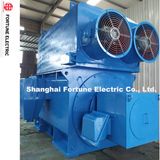 Energy-Saving AC Yrkk Series High Voltage Motor Slip Ring Induction Motor