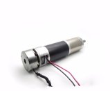 56mm DC 24V Gear Motor for Automotive Water Pump