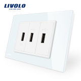 Livolo USB Socket (2.1A, 5V) Wall Powerpoints 3gangs USB Vl-C93u-11