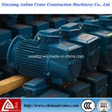 IP55 Electric AC Three Phase Crane Motor