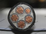 0.6/1kv Cu/PVC/PVC 5X25mm2 5 Core Power Cable Electric Cable