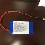 OEM Lithium Battery Rechargebale 24V 10ah 7s5p