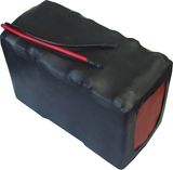 16s2p 51.2V 20ah LiFePO4 Battery Pack 8790160L