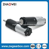 3V 0.5W Output Power 80mA Electric DC Gear Motor