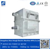 Big Squirrel Cage Electrical 900kw 1500rpm AC Motor