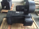 NHL Yjp Ie4 3HP Electric Motor