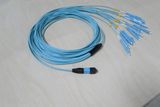 MPO-MPO Fiber Optic Patch Cord