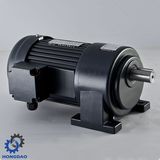 Light Duty Type Micro AC Induction Motor_D