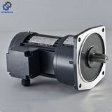 High Ratio Good Sales Small Electric AC Brake Motor_D