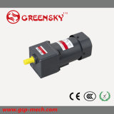 GS High Efficient 120W 90mm AC Induction Motor