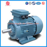 IP 54 Electrical Induction Motor 30 Kw for Air Compressor