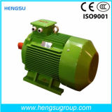 Ye2-200L-8 Cast Iron Three Phase AC Induction Electric Motor