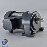 Horizonal/Vertical Small AC Motor with Gear_C