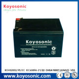 12ah 36V Deep Cycle Battery 12V Battery for Trolley