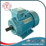 Y2 Three-Phase Motor: IEC Tru-Metric - Tefc (IP55) - Cast Iron Frame