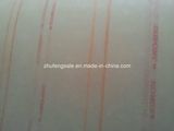 Insulation Nomex Composited Paper (6640)