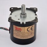 3 Rpm Single Phase Permanet Magnet Reversible Synchronous Gear Motor (KTYZ)