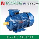 Y2E3 Series High Effiency Cast Iron Body AC Motor