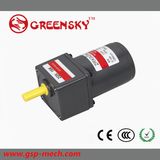 Small Micro Mini AC Induction Geared Motor