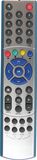 High Quality TV Remote Control (103TS103)