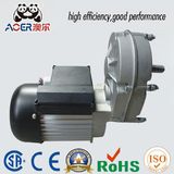 Zhejiang Flange Mounted Pole Motor