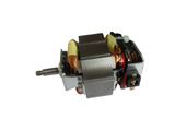 AC Motor for Vacuum Cleaner with Ce, Reach, RoHS, ISO9001 Approved