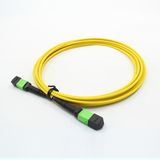 MTP/MPO 12cores Fiber Optic Patchcord